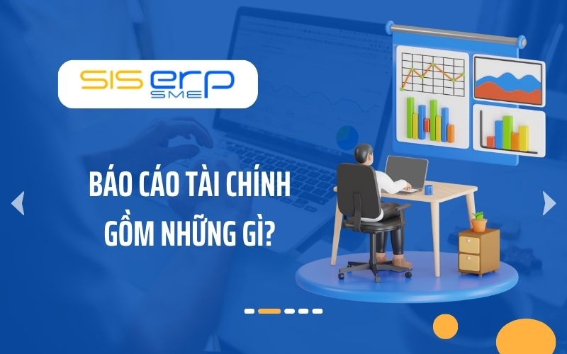 Báo Cáo Tài Chính Gồm Những Gì? 