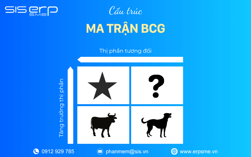 cấu trúc ma trận bcg